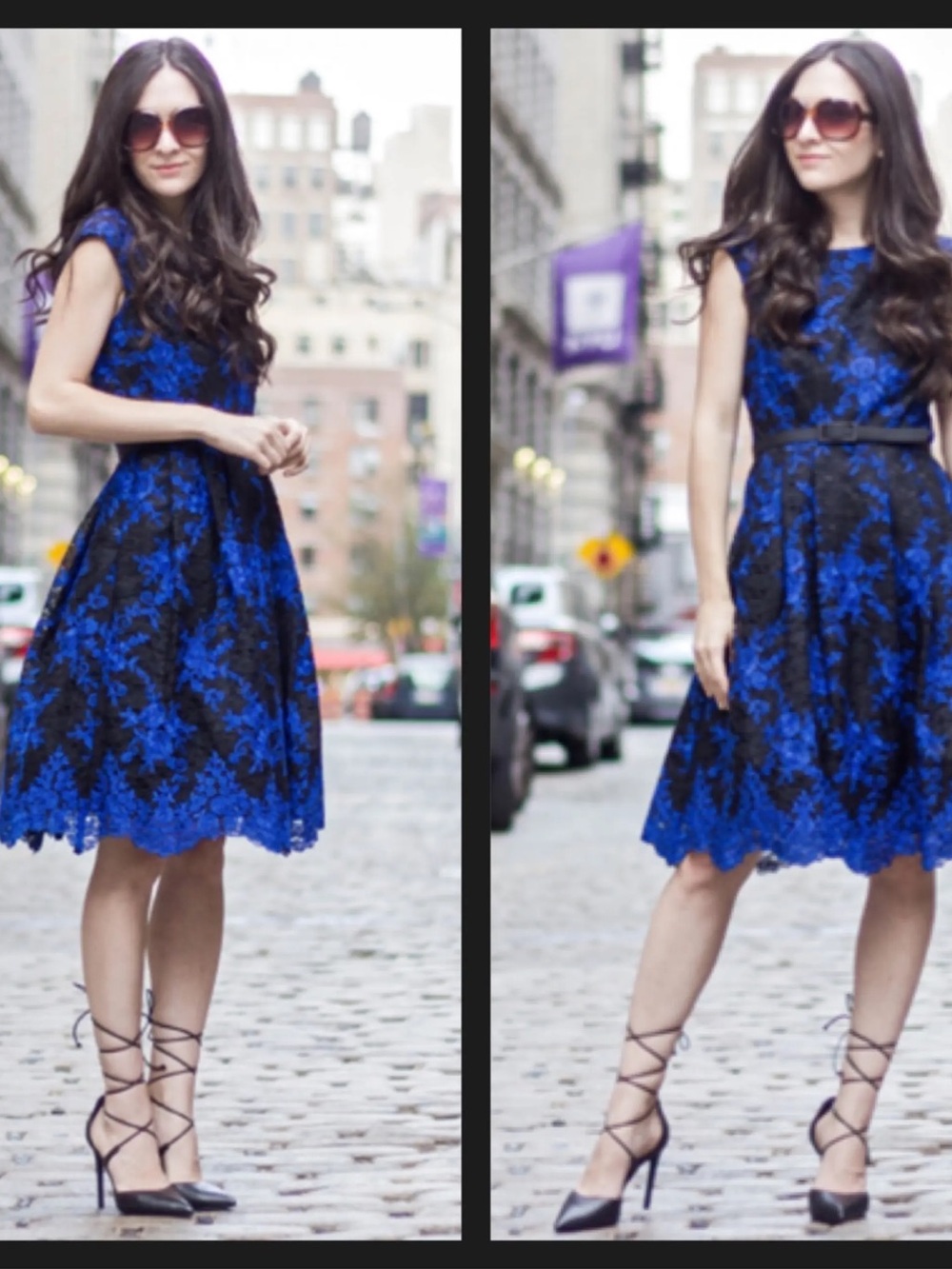 Eliza J Royal Blue and Black Lace Midi Dress